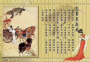 《孔雀东南飞》的读后感