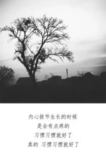 万籁俱寂是什么意思 万籁俱寂造句 近义词反义词