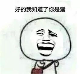 女孩对男孩说你是我的猪?