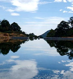 厦门旅游必去十大景点，厦门金光湖原始森林有什么玩的