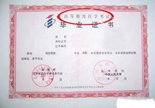 可以从哪些渠道获取自考信息?