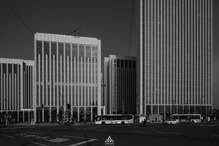 bund怎么读