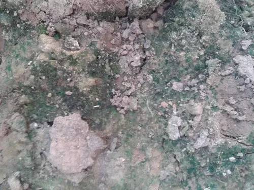 盐碱化和次生盐碱化有什么区别