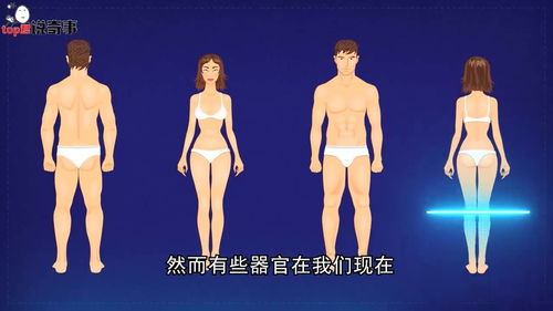 身体的身怎么写