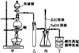 浓硫酸和碳反应的化学方程式