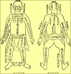身长八尺面如冠玉头戴纶巾身披鹤氅什么意思?