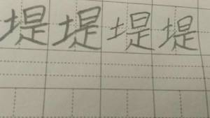 堤组词组词语有哪些，堤组词组词语有哪些成语