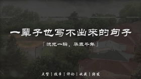 皂罗袍的小说免费阅读，皂罗袍拼音