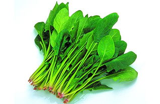 菠菜英语复数，西兰花英语