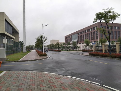阜阳职业技术学校有哪些专业