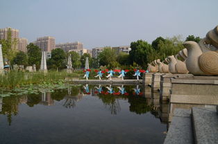 形容人是一道道靓丽风景线，歌曲靓丽风景线