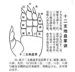 己不破券二比并亡的意思是那生肖，己不破劵二比并亡