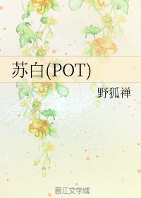 野狐禅比喻什么