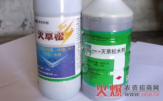 灭草松能灭什么草，灭草松使用注意事项