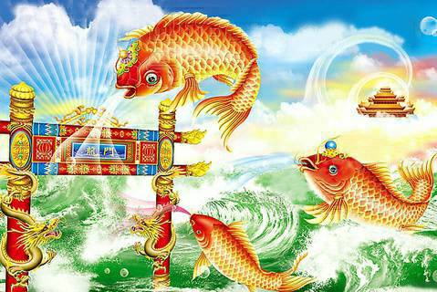 鲤鱼跳龙门的故事读后感，鲤鱼跳龙门的故事简介20字