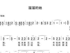 跑马溜溜的她简谱，溜溜的她简谱费翔