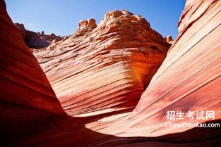 奇丽的反义词是什么 标准答案，奇丽的反义词的近义词