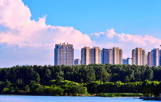 location怎么读