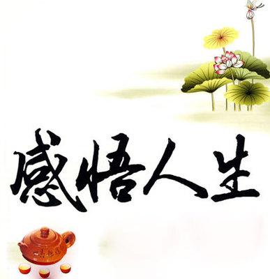 感触是什么意思