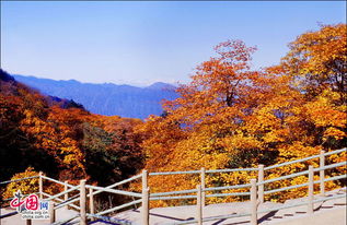 峨眉山位于我国哪个省份?___A四川 B云南C贵州D西藏，峨眉山和青城山哪个更值得去?