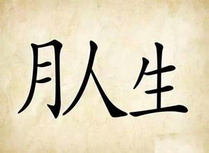 关于宇字的成语