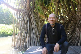 《率土之滨》SP张奂搭配推荐