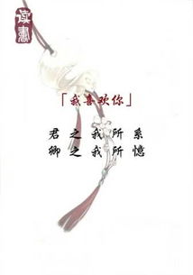 古文情话短句给男友，古文情话短句有翻译,偏爱的古文情话
