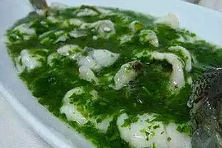 莼羹鲈脍读音，菰菜莼羹鲈脍