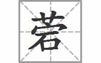 菪石大桥，菪碱怎么读音