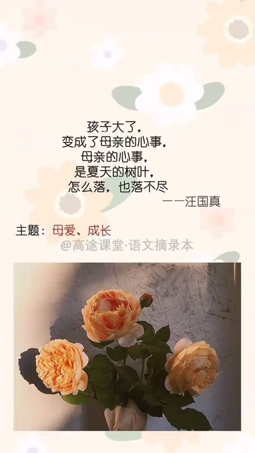 浓浓亲情作文素材，家庭亲情作文素材