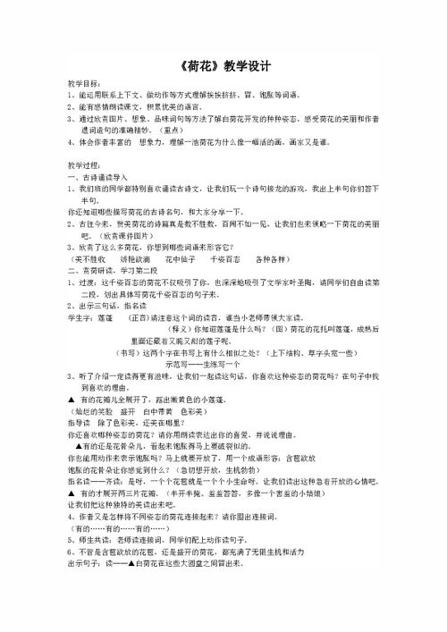 荷花教案