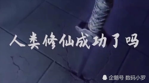 成功了的句子，成功了就是一道风景,失败了就是美好回忆