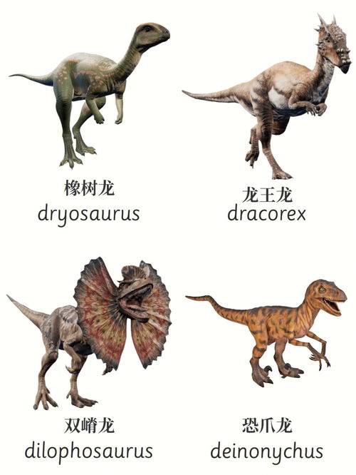 恐龙的英文怎么写