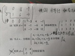 什么叫数量矩阵?