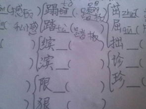 踏怎么组词