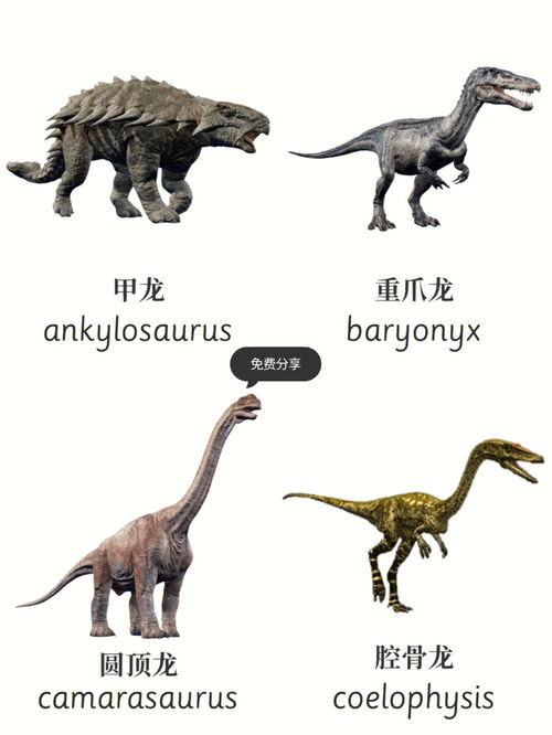恐龙英文版动画片，恐龙英文叫什么