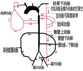 闭塞的词语解释