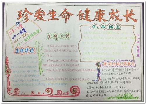 生命健康手抄报模板，生命健康手抄报内容50字