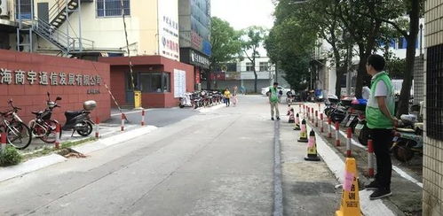 无名小路歌词