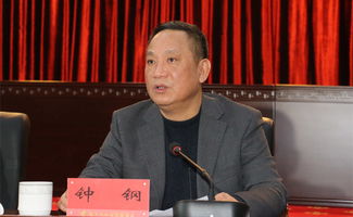 钟钢的从业经历
