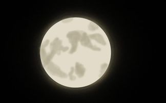 月到中秋分外明,每逢佳节倍思亲。