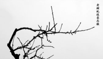 虬字是什么意思
