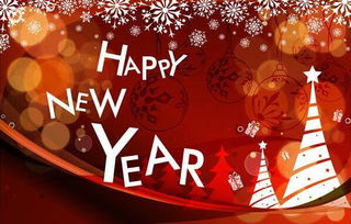 新年的意义英语作文，新年的意义幼儿园