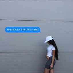 adulation和admiration的区别，adulation怎么记