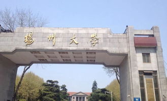 扬州大学研究生院材料有博士点吗