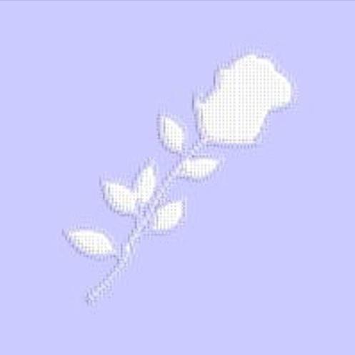 glassy sky，glass意思