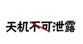 天机不可泄露怎么幽默回复，天机不可泄露类似的句子