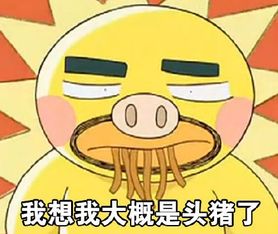 大概的意思，大概的看
