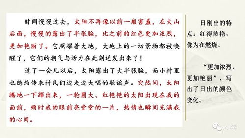雨中即景作文300字