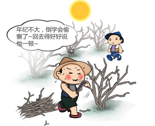 磨刀不误砍柴工的意思是什什么，磨刀不误砍柴工下一句
